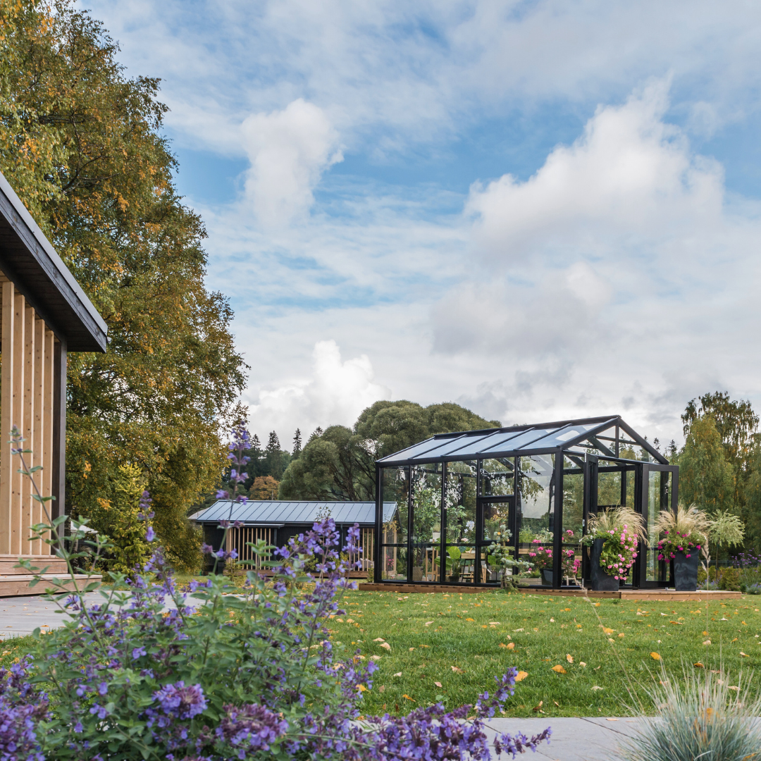 WOODEN greenhouse MODERN | PREMIUM