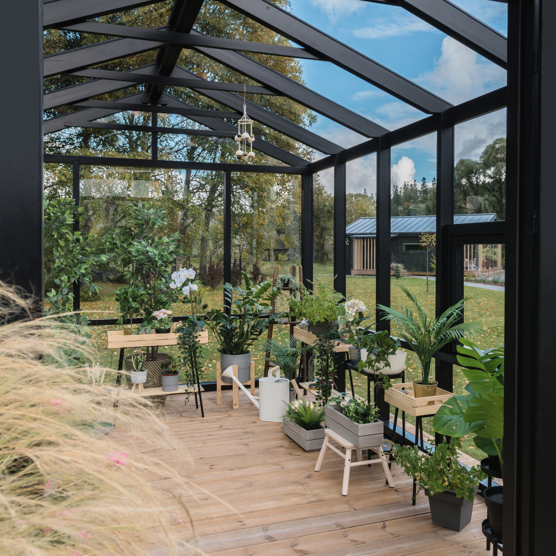 WOODEN greenhouse MODERN | PREMIUM
