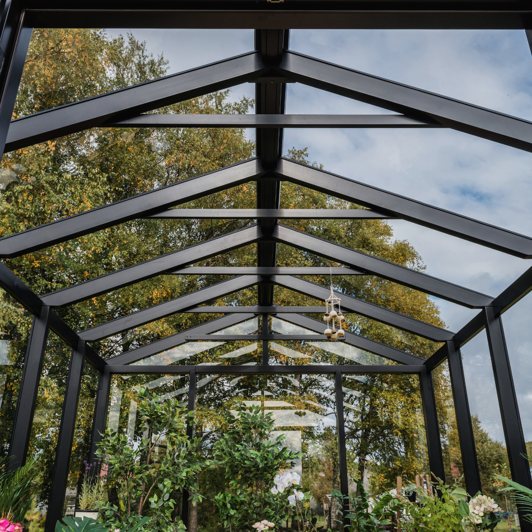 WOODEN greenhouse MODERN | PREMIUM