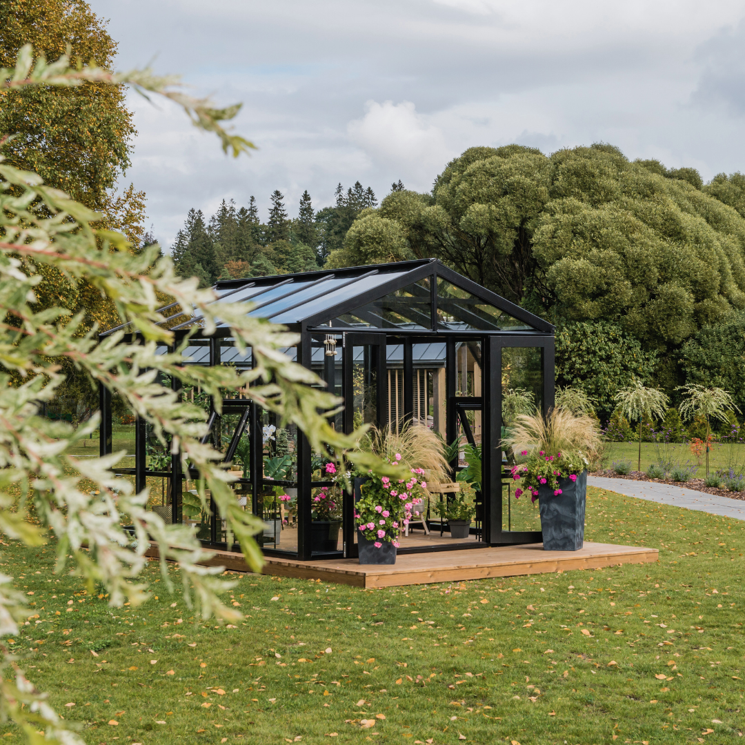 WOODEN greenhouse MODERN | PREMIUM