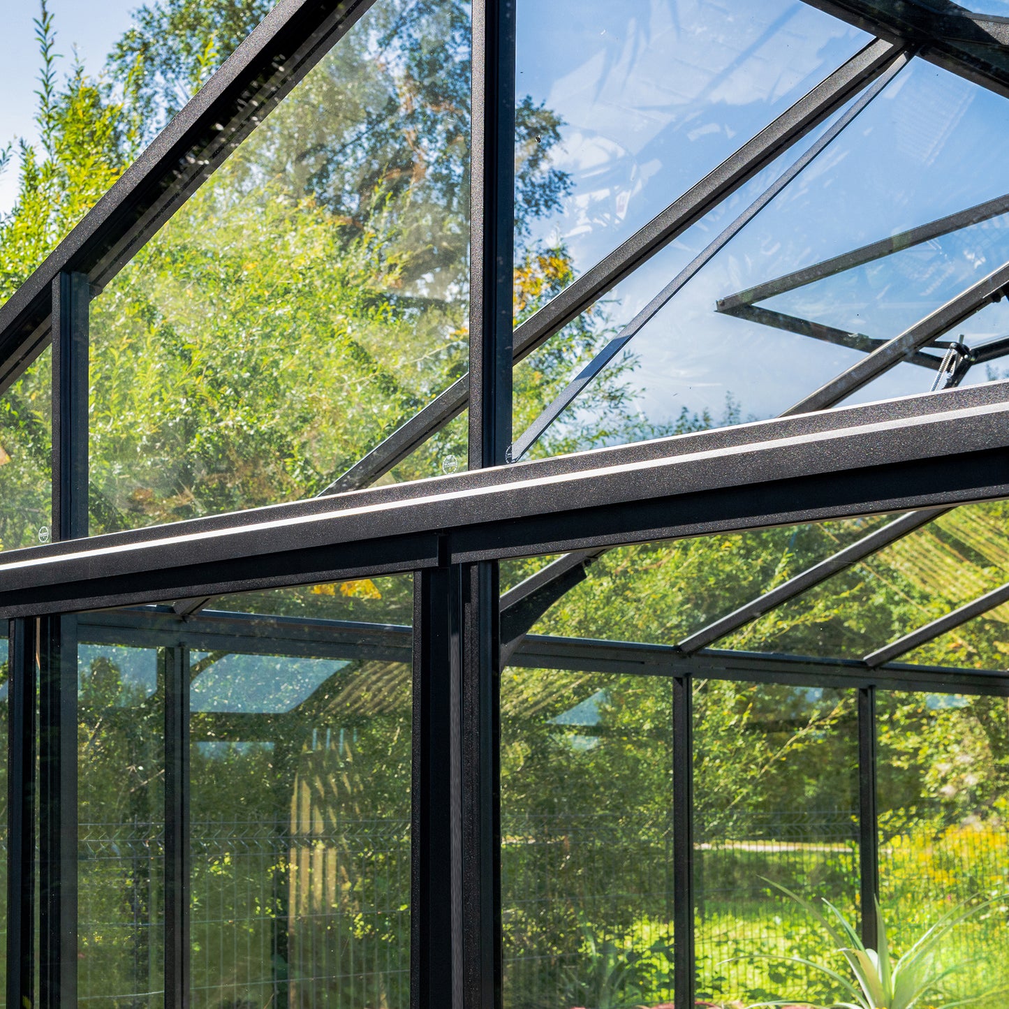 MODERN greenhouse