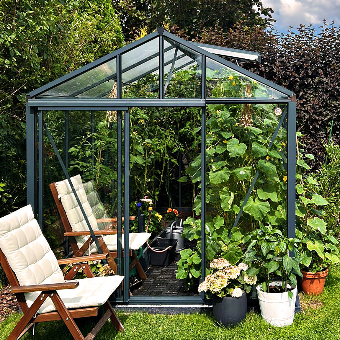 MODERN greenhouse