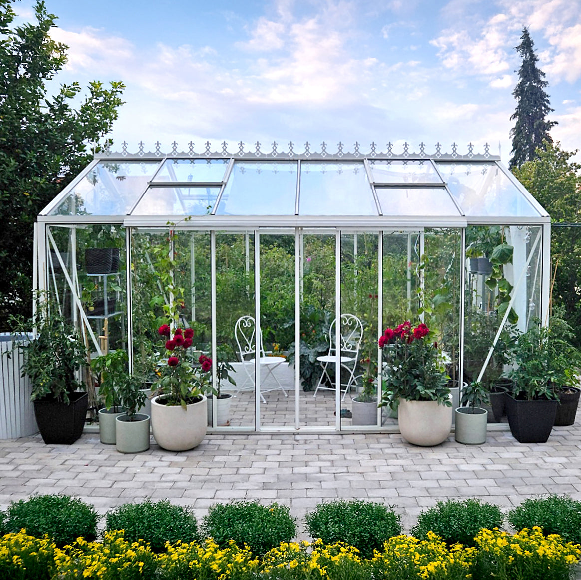 CLASSY greenhouse