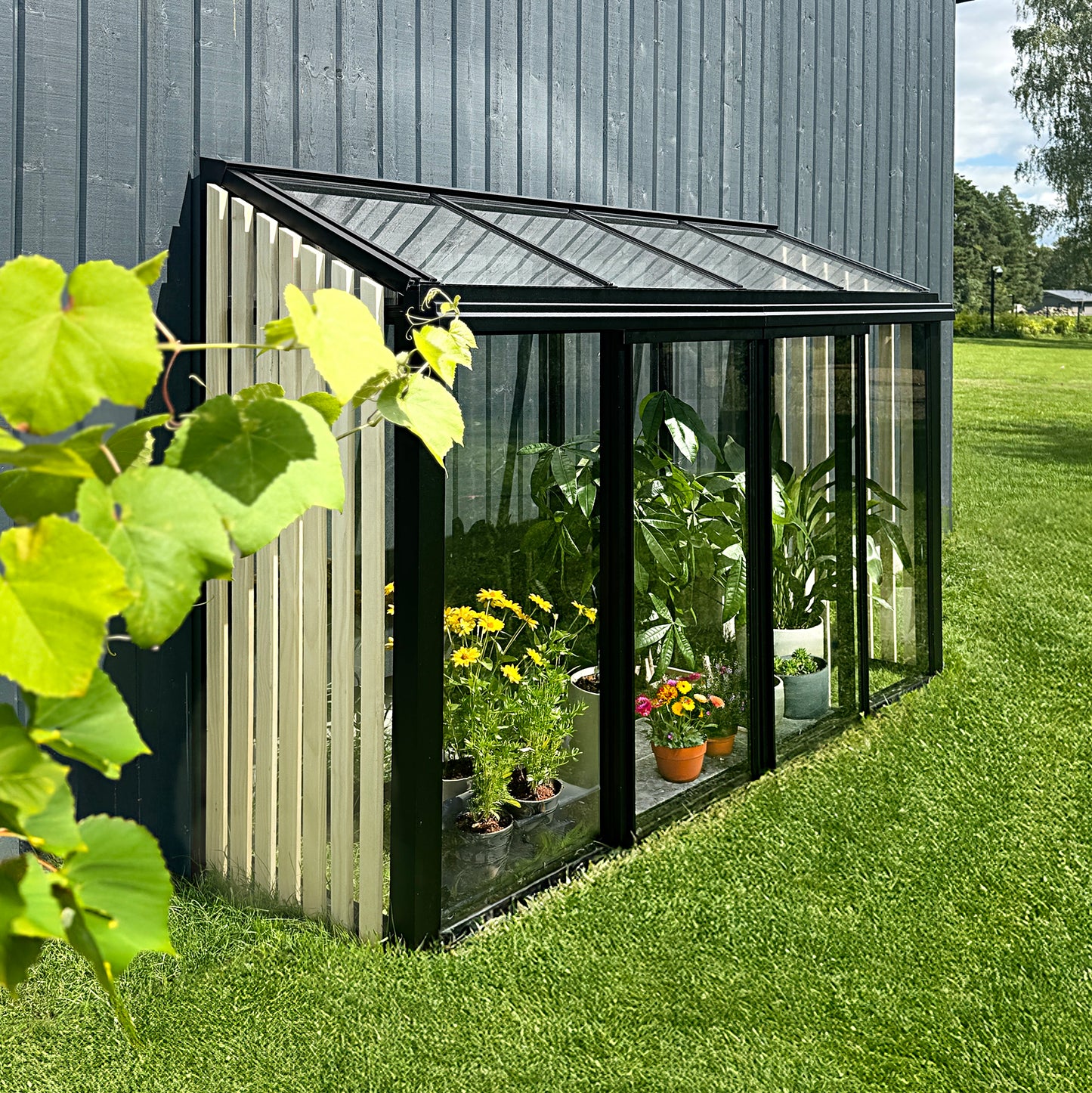 URBAN MINI GARDENER greenhouse with WOODEN elements